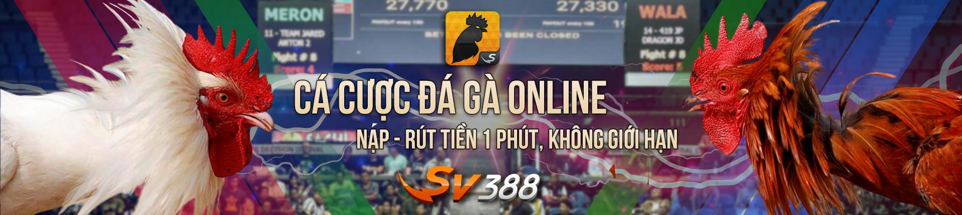 Đá gà sv388