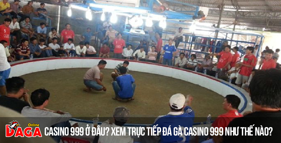 Casino 999 ở đâu? Xem trực tiếp đá gà casino 999 như thế nào?