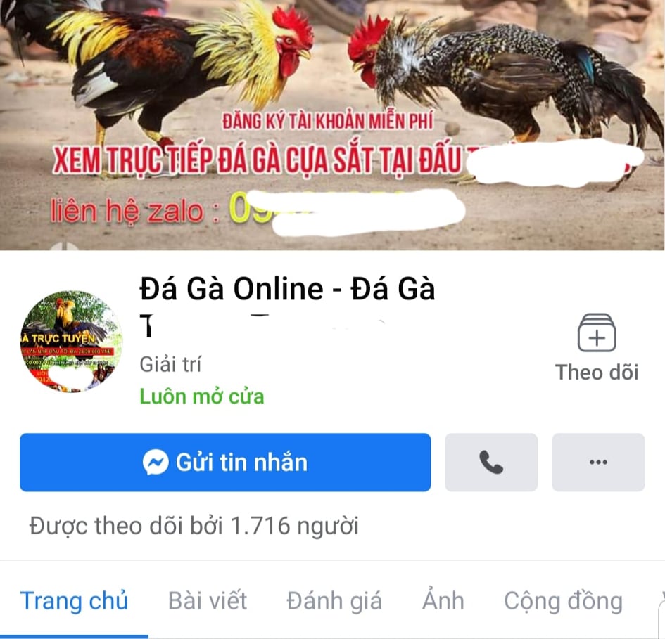 Thủ đoạn dụ dỗ của các trang đá gà lừa đảo