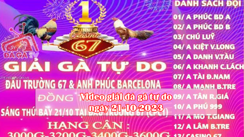 Video giải đá gà tự do ngày 21-10-2023