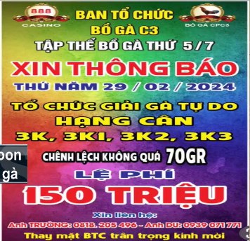 Video giải đá gà tự do bồ CPC3 ngày 29-02-2024