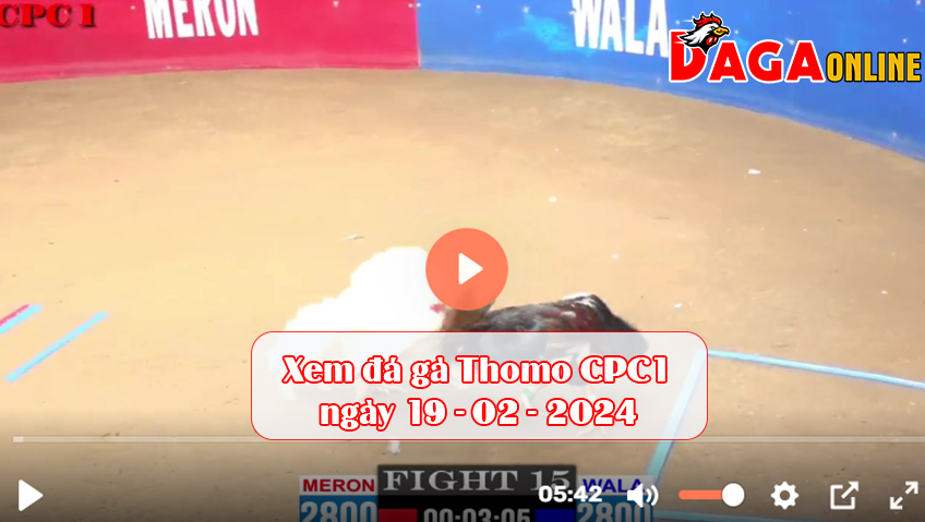 Xem đá gà Thomo CPC1 ngày 19-02-2024