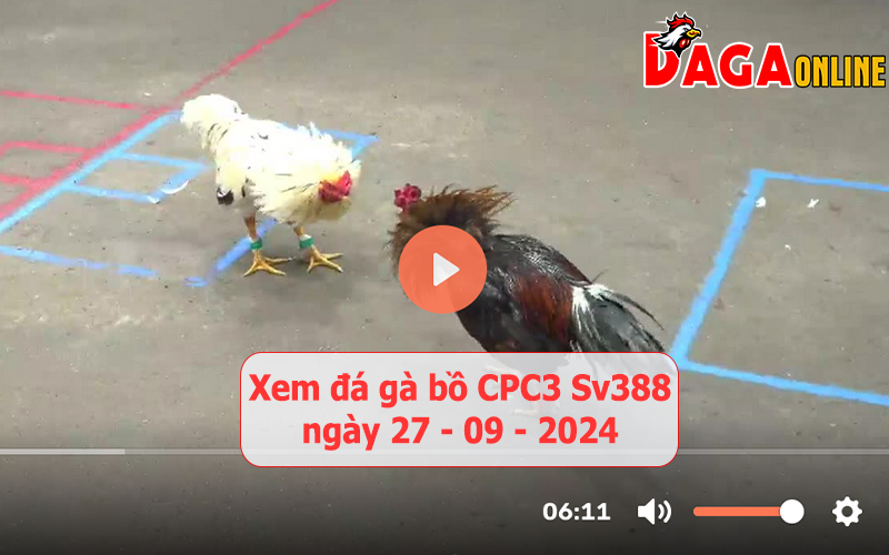 Xem đá gà bồ CPC3 Sv388 ngày 27-09-2024