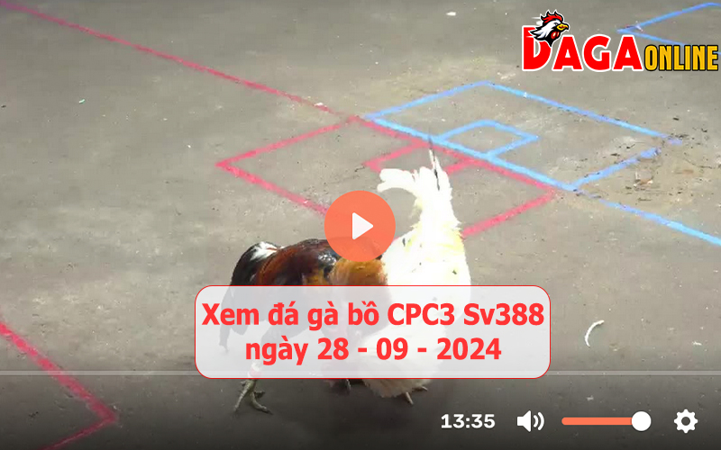 Xem đá gà bồ CPC3 Sv388 ngày 28-09-2024