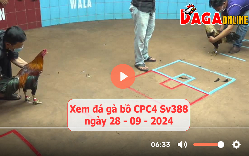 Xem đá gà bồ CPC4 Sv388 ngày 28-09-2024